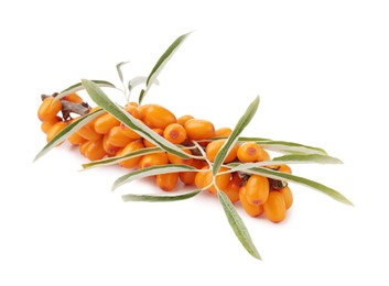 Photo of Fresh sea buckthorn berries with green leaves isolated on white