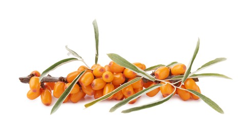 Photo of Fresh sea buckthorn berries with green leaves isolated on white