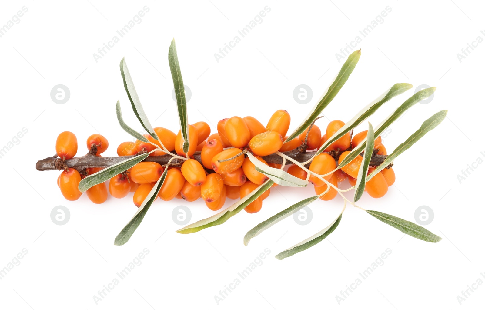Photo of Fresh sea buckthorn berries with green leaves isolated on white, top view
