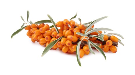 Photo of Fresh sea buckthorn berries with green leaves isolated on white