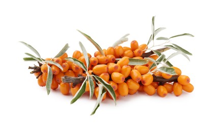Photo of Fresh sea buckthorn berries with green leaves isolated on white