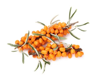 Photo of Fresh sea buckthorn berries with green leaves isolated on white, top view