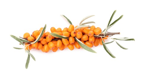 Photo of Fresh sea buckthorn berries with green leaves isolated on white, top view