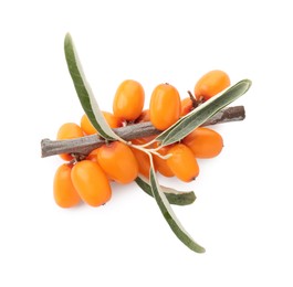 Photo of Fresh sea buckthorn berries with green leaves isolated on white