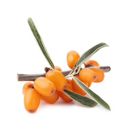 Photo of Fresh sea buckthorn berries with green leaves isolated on white