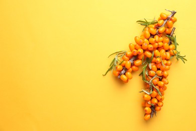 Photo of Branches with ripe sea buckthorn berries and leaves on yellow background, top view. Space for text