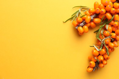 Photo of Branches with ripe sea buckthorn berries and leaves on yellow background, top view. Space for text