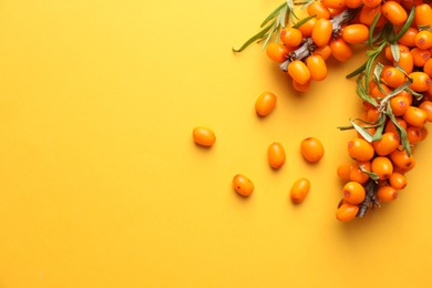 Photo of Branches with ripe sea buckthorn berries and leaves on yellow background, flat lay. Space for text