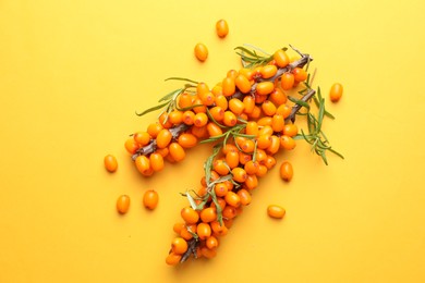 Photo of Branches with ripe sea buckthorn berries and leaves on yellow background, flat lay