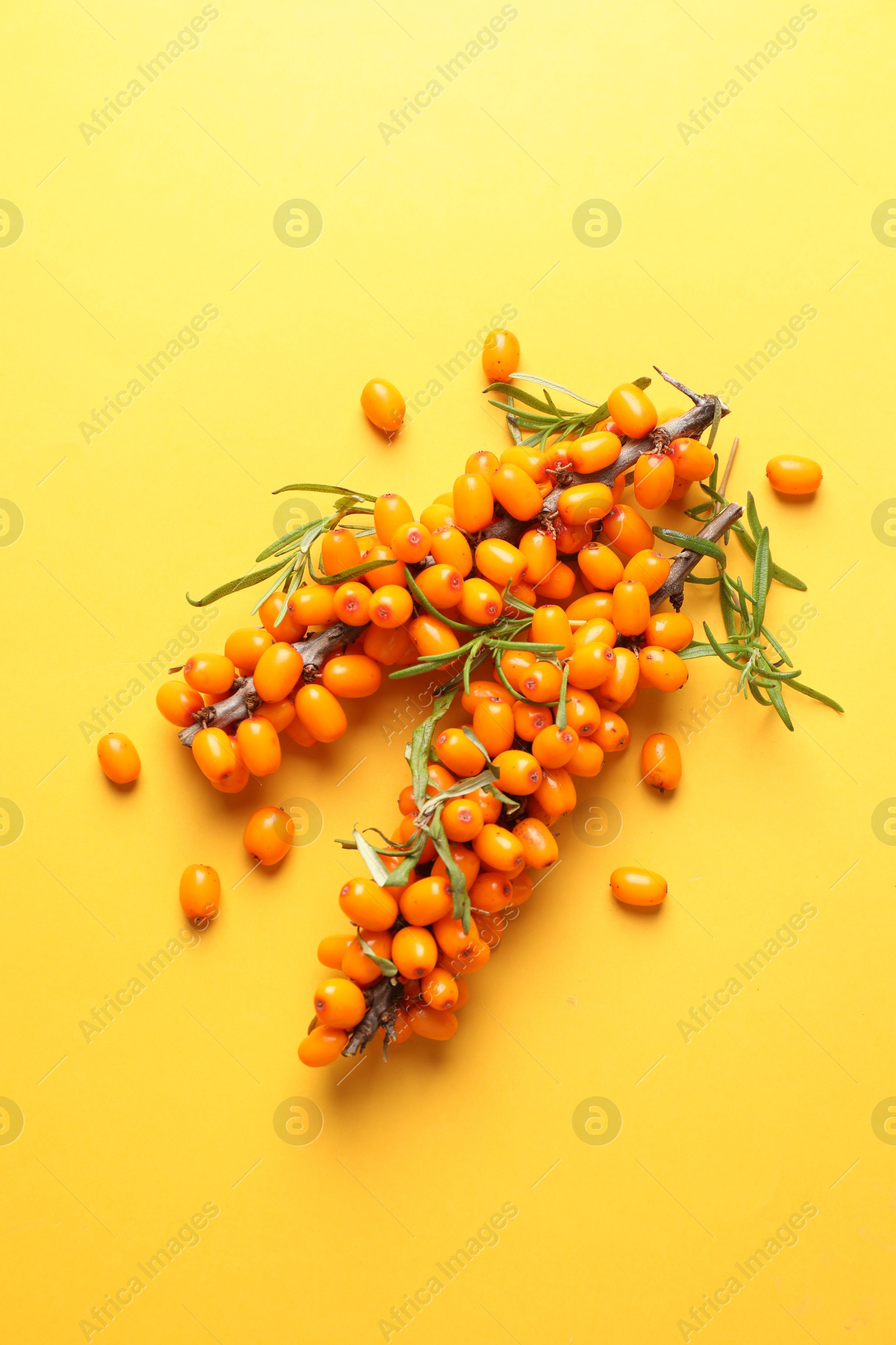 Photo of Branches with ripe sea buckthorn berries and leaves on yellow background, flat lay