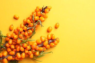 Photo of Branches with ripe sea buckthorn berries and leaves on yellow background, flat lay. Space for text