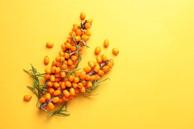 Photo of Branches with ripe sea buckthorn berries and leaves on yellow background, flat lay. Space for text
