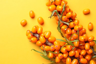 Photo of Branches with ripe sea buckthorn berries and leaves on yellow background, flat lay. Space for text