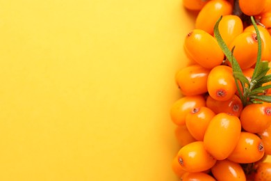 Photo of Ripe sea buckthorn berries and leaves on yellow background, above view. Space for text
