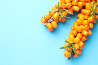 Photo of Branches with ripe sea buckthorn berries and leaves on light blue background, top view. Space for text