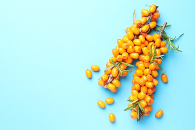 Photo of Branches with ripe sea buckthorn berries and leaves on light blue background, flat lay. Space for text