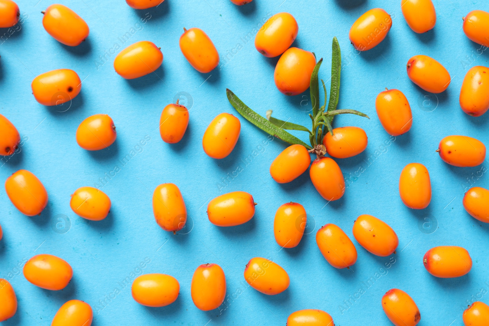 Photo of Ripe sea buckthorn berries and leaves on light blue background, flat lay
