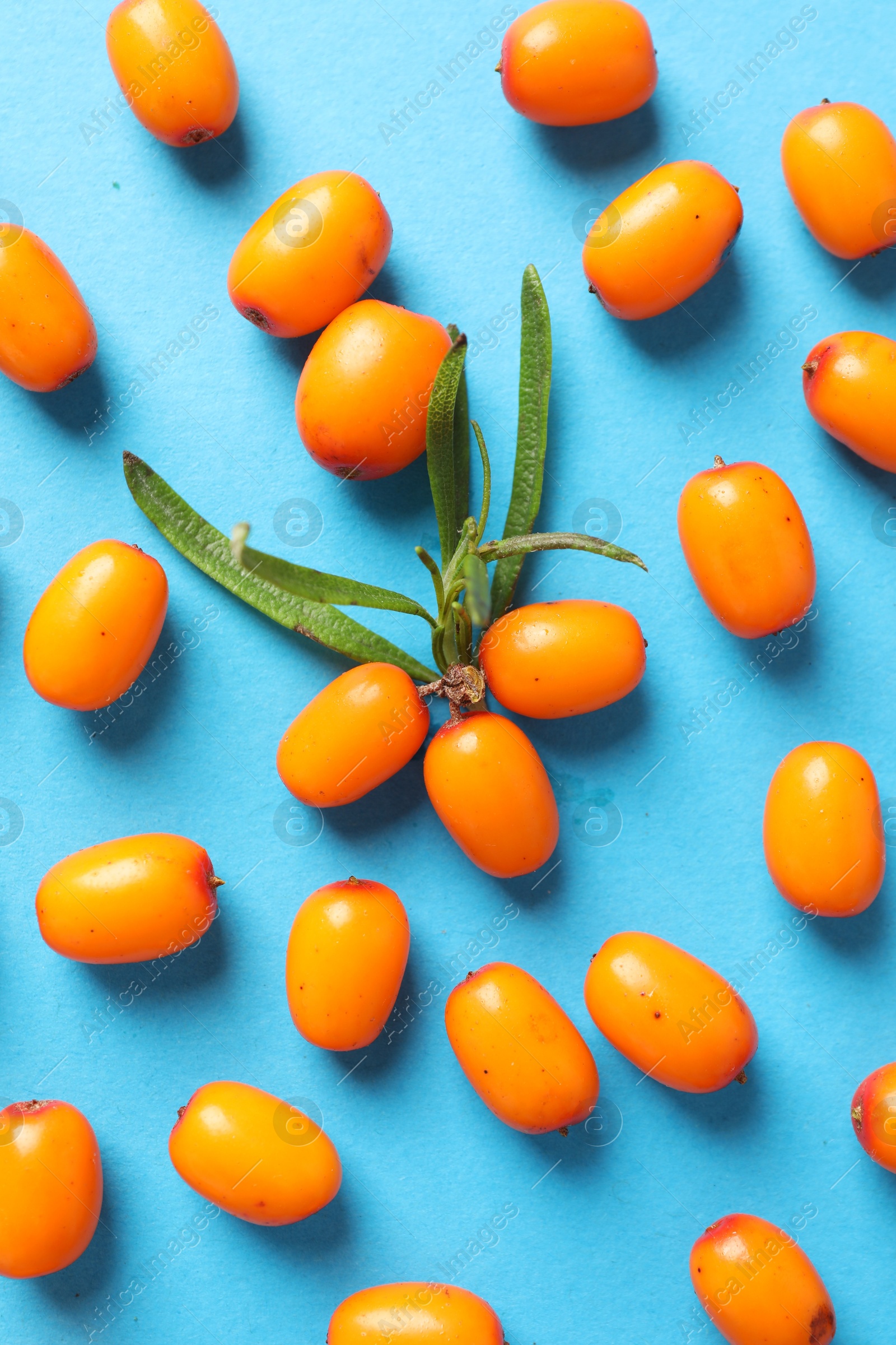 Photo of Ripe sea buckthorn berries and leaves on light blue background, flat lay