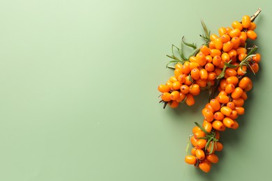 Photo of Branches with ripe sea buckthorn berries and leaves on green background, top view. Space for text