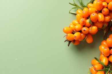 Photo of Branches with ripe sea buckthorn berries and leaves on green background, top view. Space for text