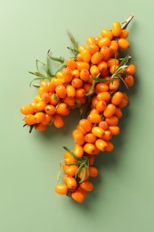 Photo of Branches with ripe sea buckthorn berries and leaves on green background, top view
