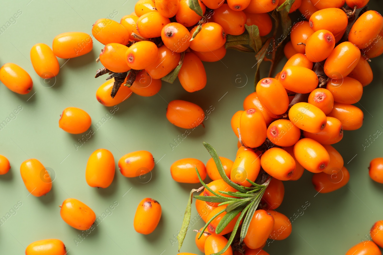 Photo of Branches with ripe sea buckthorn berries and leaves on green background, flat lay