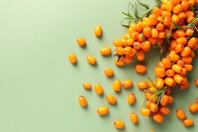 Photo of Branches with ripe sea buckthorn berries and leaves on green background, flat lay. Space for text