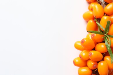 Photo of Ripe sea buckthorn berries and leaves on white background, above view. Space for text