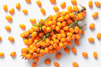 Photo of Branches with ripe sea buckthorn berries and leaves on white background, flat lay