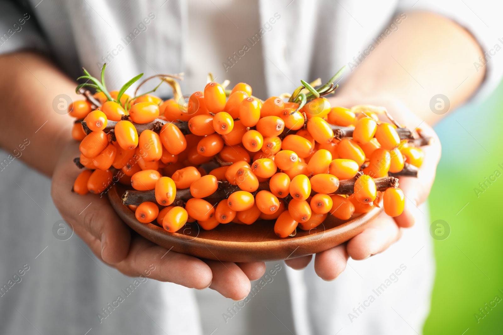 Photo of Woman with ripe sea buckthorn berries against blurred green background, closeup