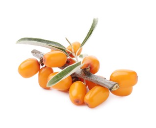 Photo of Fresh sea buckthorn berries with green leaves isolated on white