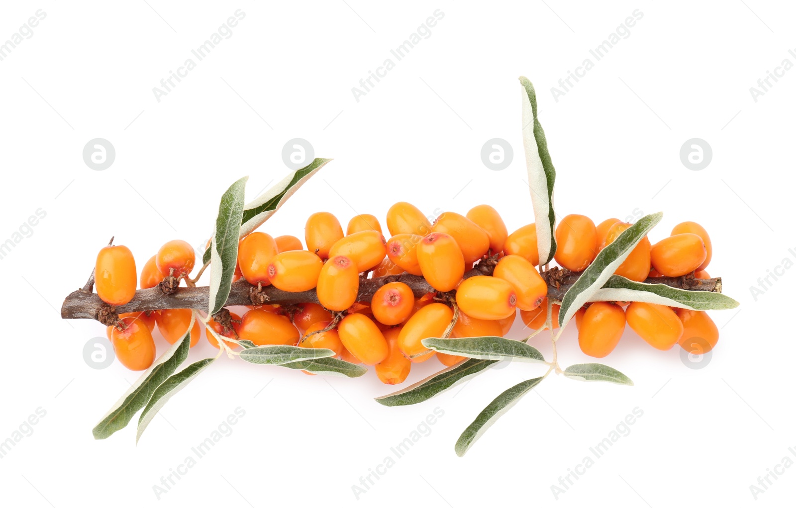 Photo of Fresh sea buckthorn berries with green leaves isolated on white, top view
