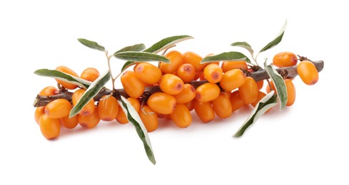 Photo of Fresh sea buckthorn berries with green leaves isolated on white