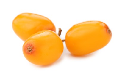 Photo of Fresh sea buckthorn berries isolated on white