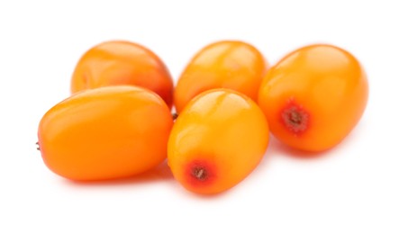 Photo of Fresh sea buckthorn berries isolated on white
