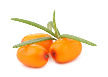 Photo of Fresh sea buckthorn berries with green leaves isolated on white