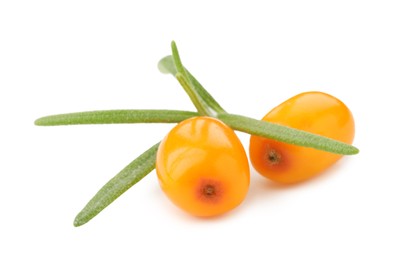 Photo of Fresh sea buckthorn berries with green leaves isolated on white