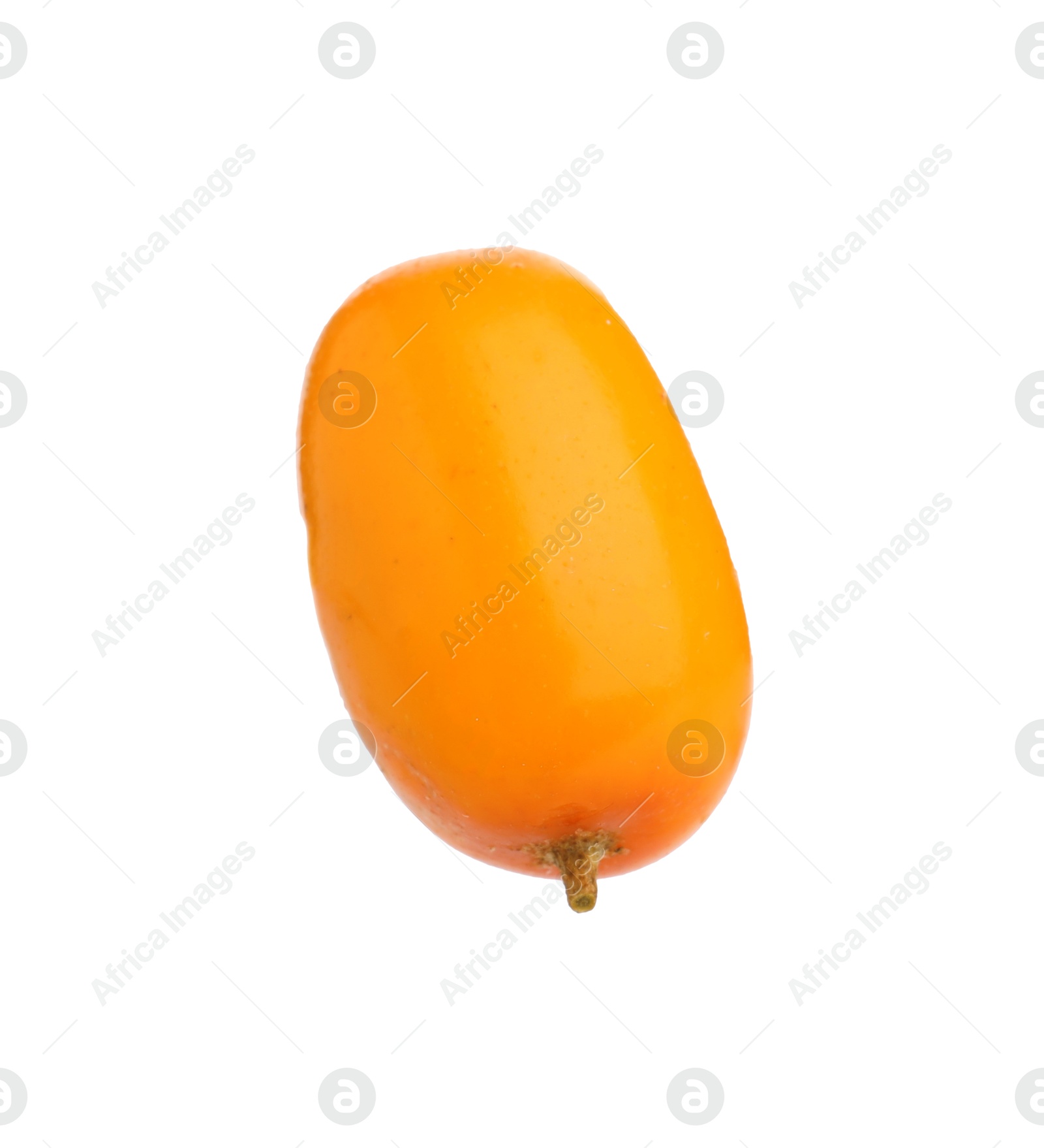 Photo of One fresh sea buckthorn berry isolated on white