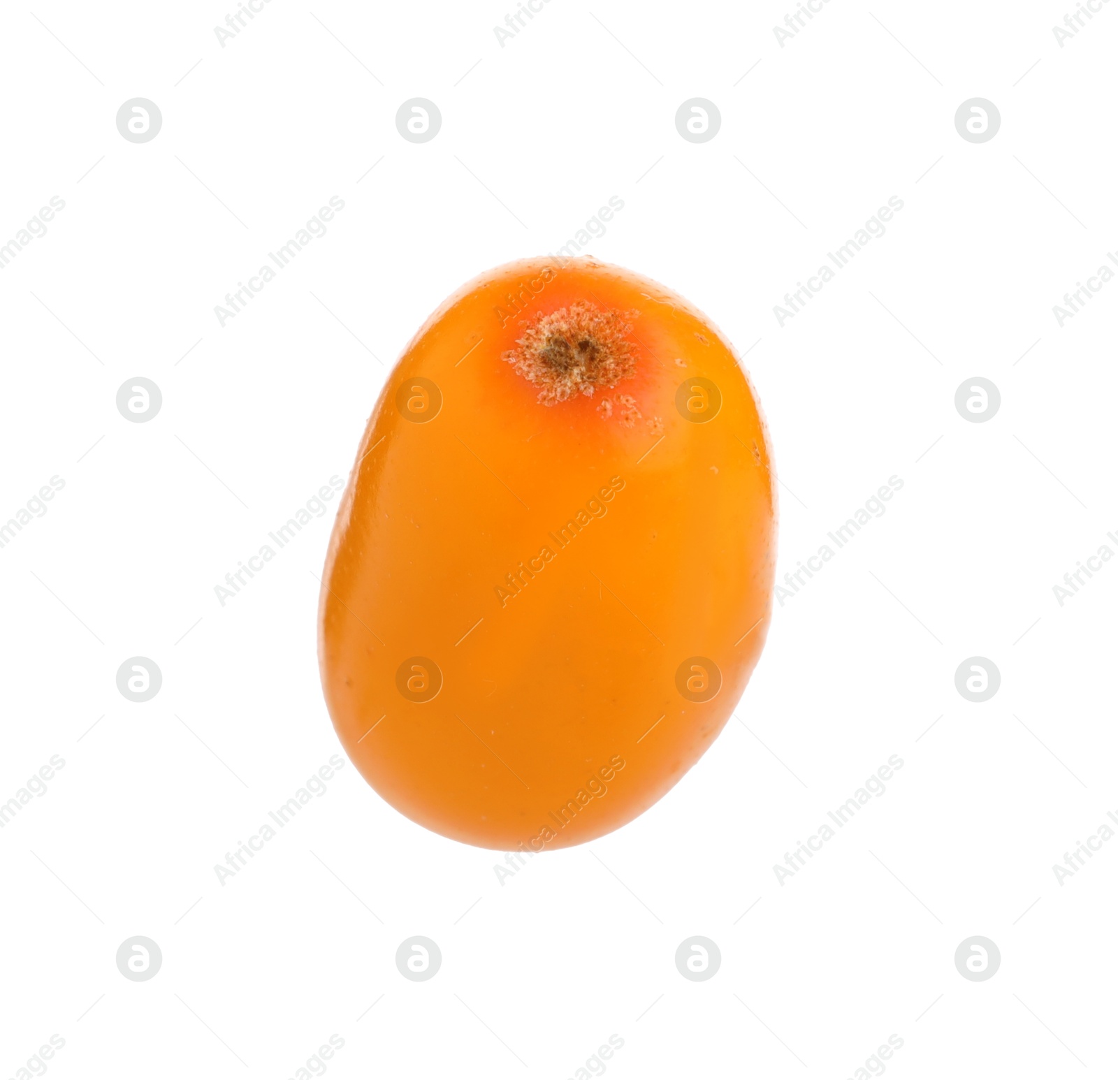 Photo of One fresh sea buckthorn berry isolated on white