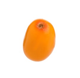 Photo of One fresh sea buckthorn berry isolated on white