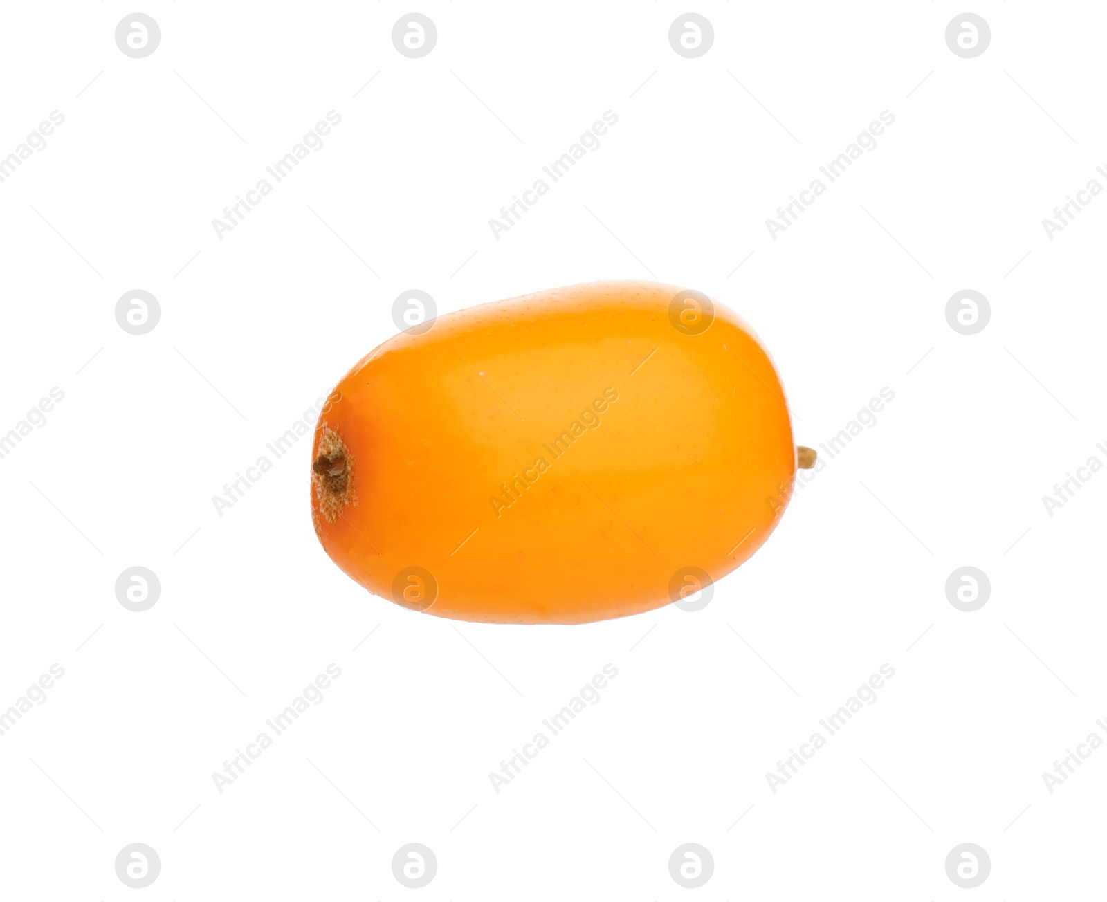 Photo of One fresh sea buckthorn berry isolated on white