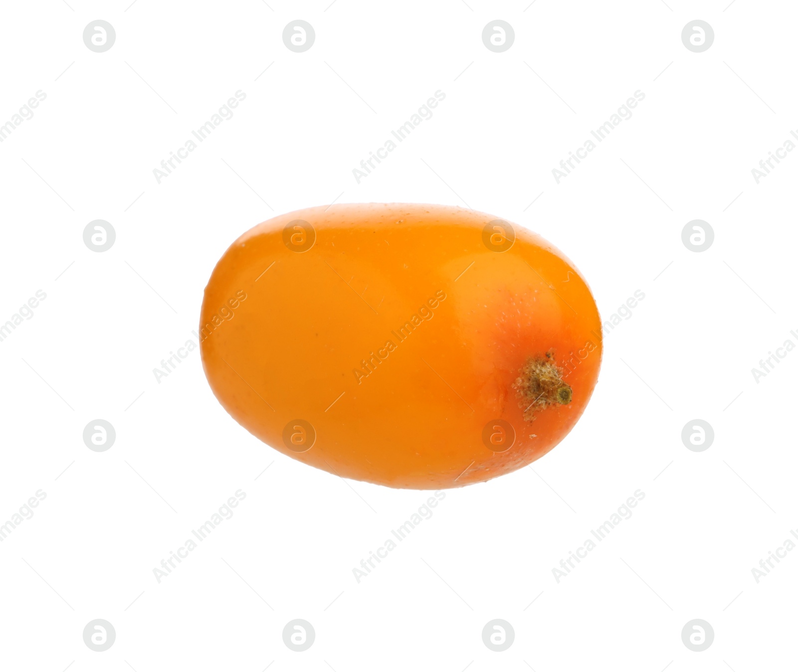One fresh sea buckthorn berry isolated on white Photo of One fresh sea buckthorn berry isolated on white