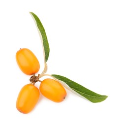 Photo of Fresh sea buckthorn berries with green leaves isolated on white