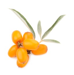 Photo of Fresh sea buckthorn berries with green leaves isolated on white