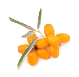 Photo of Fresh sea buckthorn berries with green leaves isolated on white
