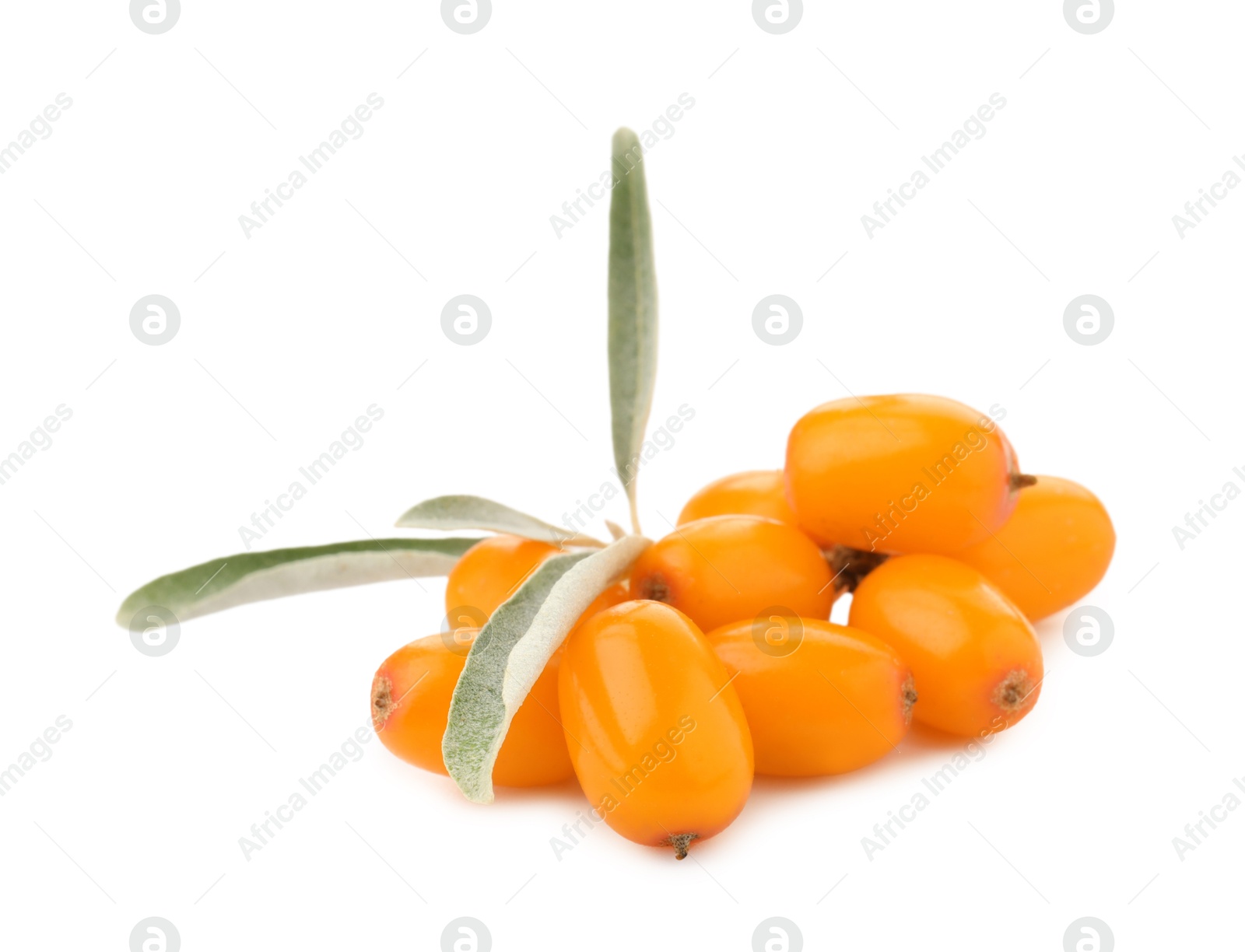 Photo of Fresh sea buckthorn berries with green leaves isolated on white