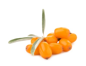 Photo of Fresh sea buckthorn berries with green leaves isolated on white