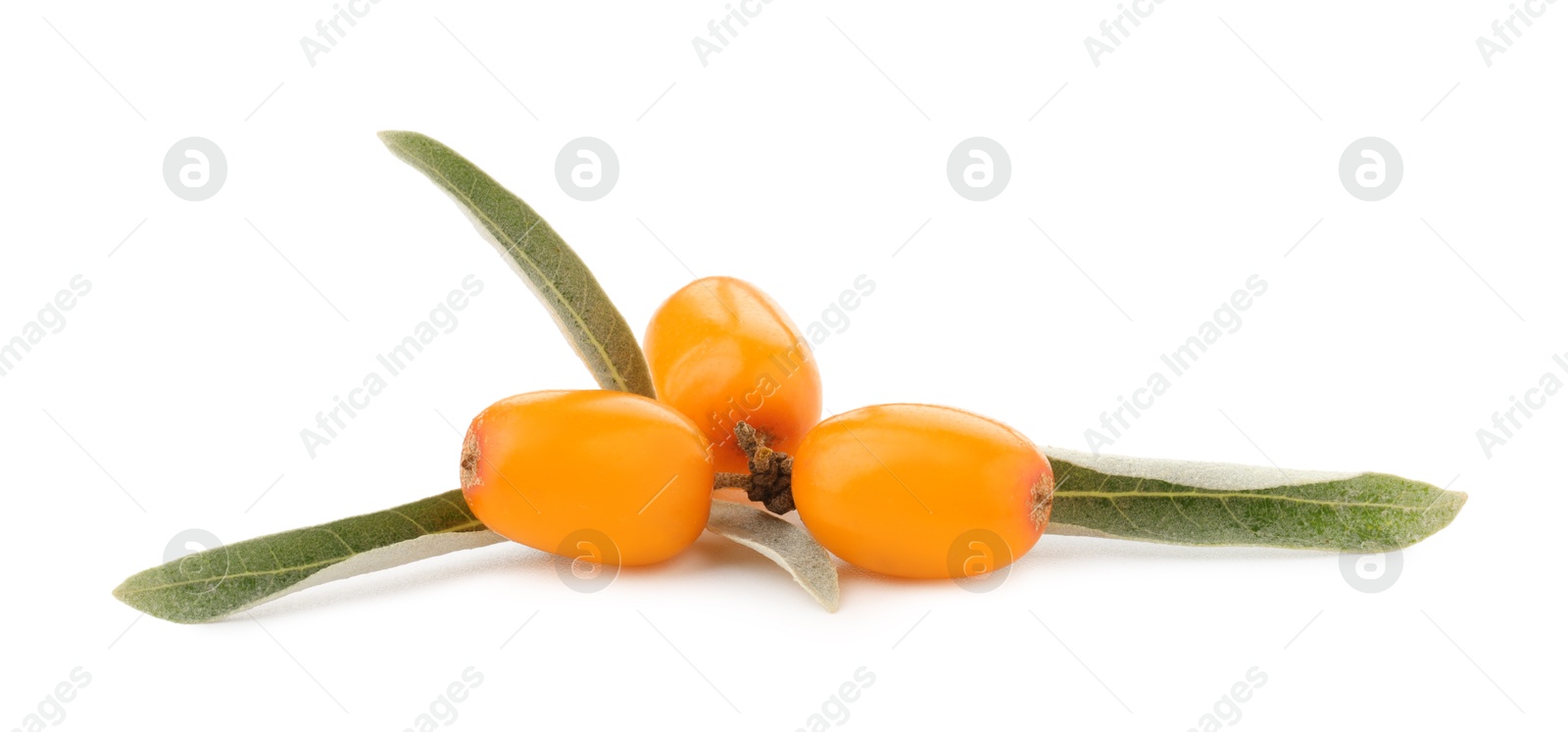 Photo of Fresh sea buckthorn berries with green leaves isolated on white