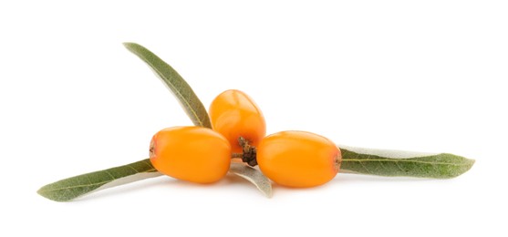 Photo of Fresh sea buckthorn berries with green leaves isolated on white