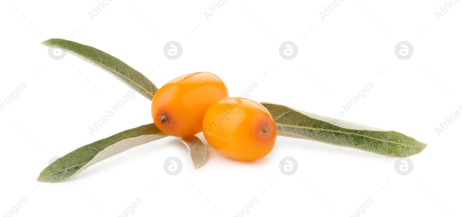 Photo of Fresh sea buckthorn berries with green leaves isolated on white